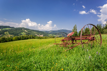 Ancient rake in a field in summer
