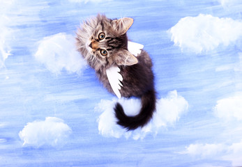 Beautiful kitten with paper wings, on bright background