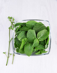 Glass square bowl of mint leaves on white background isolated