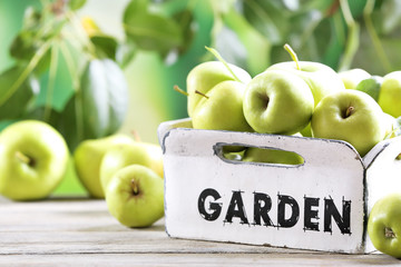 Juicy apples in garden box, close-up