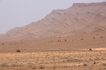 Fototapeta na wymiar Arid and hot day in the desert of Sahara, Tata