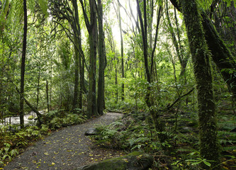 Walking trail