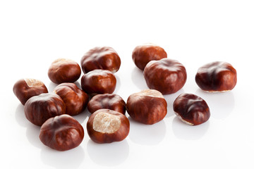 Chestnut on white background. ripe chestnuts