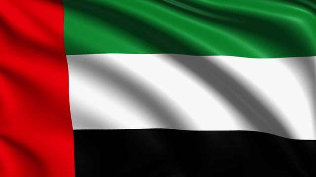 flag of the United Arab Emirates with fabric structure; looping