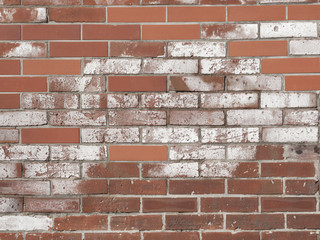 Obraz premium レンガの壁