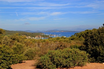 Fototapeta na wymiar Île de Porquerolles.