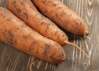 Carrot-roots on a board