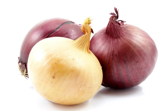 cebula