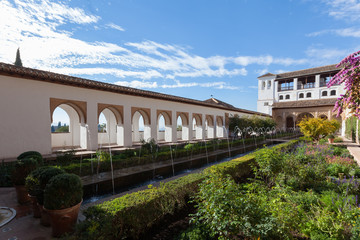 Fototapeta premium alhambra fortress.