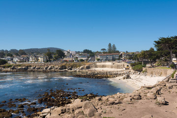 Obraz premium The coast of Point Loma, Monterey