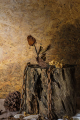 Still Life Metaphorical roses .