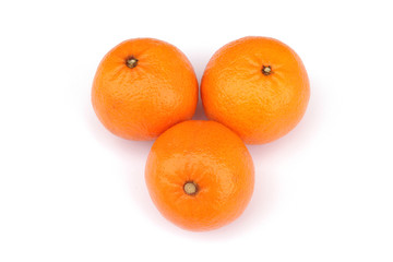 clémentines
