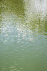 reflection on ripple