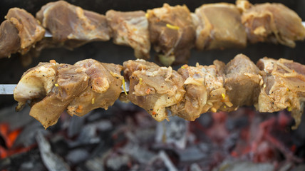 Appetizing fresh meat shish kebab.