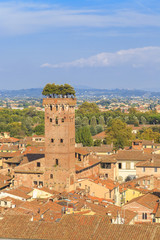 lucca tower