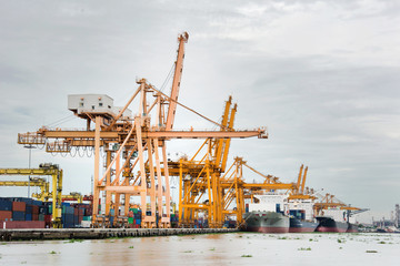 Cargo Cranes in Industrial Port