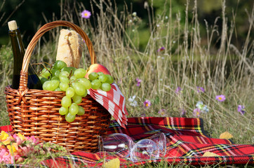 Picnic basket