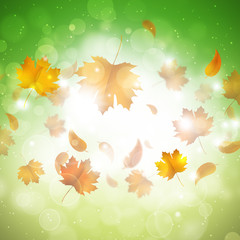 Fototapeta na wymiar Autumn Leaves Abstract Background