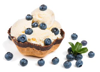 blueberry ice cream