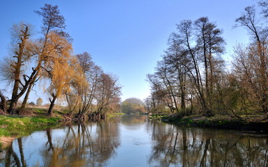 Fototapeta na wymiar Rzeka Bzura. wieś Patoki
