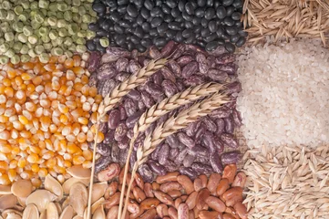 Gordijnen Cereal grains © aboikis