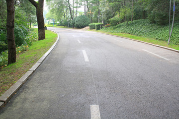 Obraz premium Forest Road