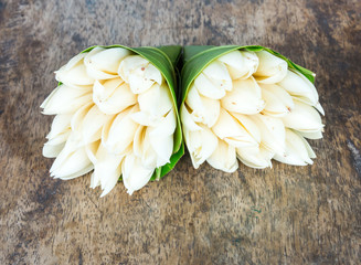 White champaka flower