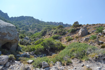 Fototapeta na wymiar Summer landscape, Greece.