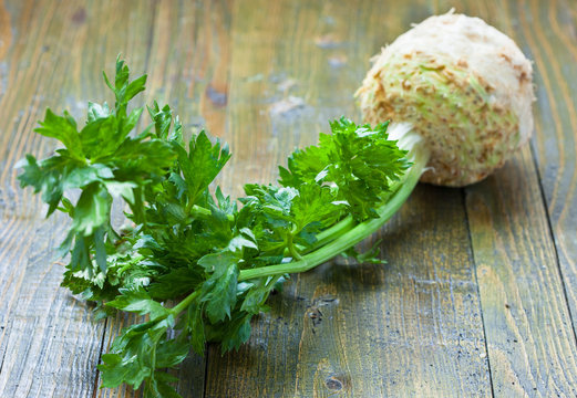 Fresh celery with root, focus on the leaves