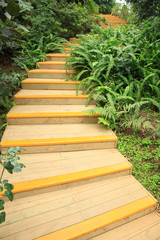 Wooden steps