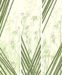 Set of vertical banner with many bamboos.