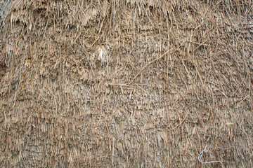 Thatched background