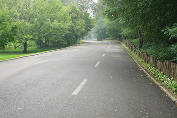 Obraz premium Forest Road