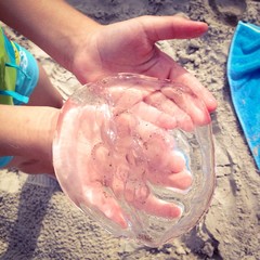 caught a jellyfish