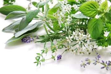 Photo sur Plexiglas Aromatique herbs