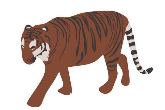 トラのイラスト　左向き