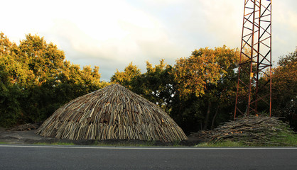 charcoal making © sinanaktas