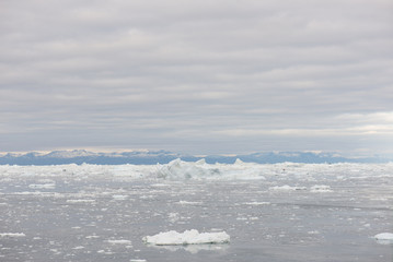 Arctic landscape in Greenland