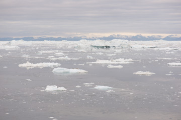 Arctic landscape in Greenland