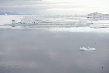 Fototapeten Arctica Arctic landscape in Greenland  © Arrlfx