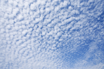Fototapeta na wymiar 秋空と雲