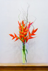 Heliconia wagneriana inflorescence in a glass vase