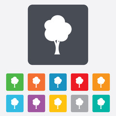 Tree sign icon. Forest symbol.