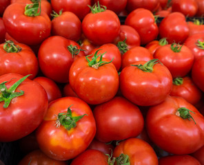 red tomatoes background.  Group of tomatoes