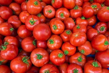 red tomatoes at the market. Fresh ripe tomatoes