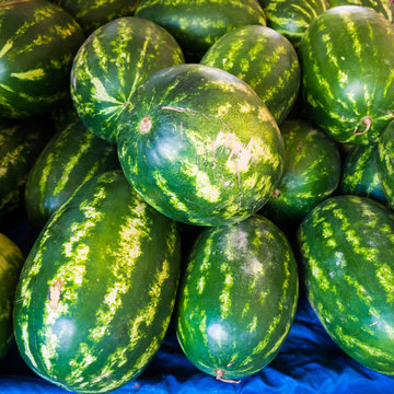 Watermelons on a market.  Heap of watermelons.