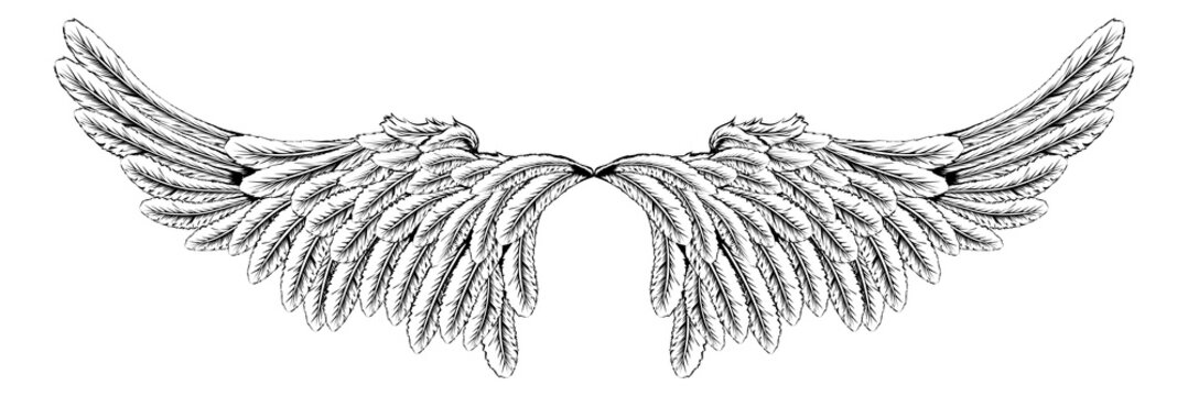 Wings