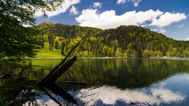 Der Alatsee bei F&uuml;ssen im Allg&auml;u