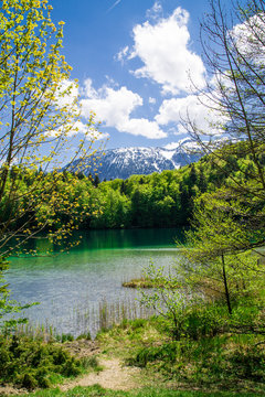 Der Alatsee bei F&uuml;ssen im Allg&auml;u