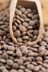 Dry Organic Brown Lentils